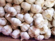 Bếp Eva - Chỉ cần cho một gói này vào, tỏi để cả năm không mọc mầm hay teo tóp