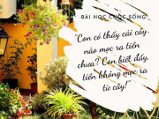 Eva tám - Vất vả nuôi 5 con trưởng thành, mẹ bật khóc vì "cây tiền" trong sân nhà