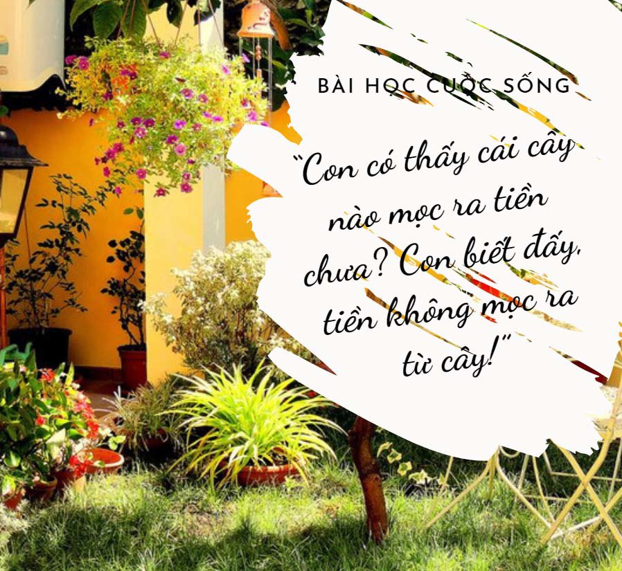 Vất vả nuôi 5 con trưởng thành, mẹ bật khóc vì amp;#34;cây tiềnamp;#34; trong sân nhà - 1