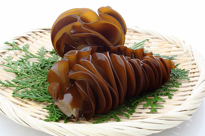 Chất nhờn từ tảo nâu với hiệu quả tuyệt vời giúp sức khỏe người bệnh ung thư - 1