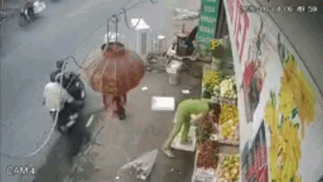 Màn câu trộm chó táo tợn ngay sau lưng chủ nhà chỉ trong 3 giây - 1