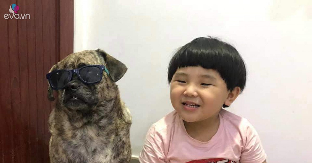 Cậu bé đầu nấm và chú chó mặt dữ khiến dân mạng ''điên đảo'' vì độ dễ thương