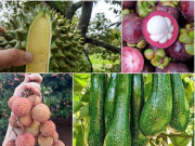 Tiêu dùng - 5 loại hoa quả hot nhất hè năm nay, giá rẻ kỷ lục: Chọn thế nào để quả tươi ngon