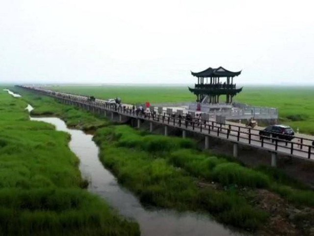 Chiêm ngưỡng cây cầu tre dài nhất thế giới làm từ 66.000 tấm ván tre
