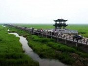 Clip Eva - Chiêm ngưỡng cây cầu tre dài nhất thế giới làm từ 66.000 tấm ván tre