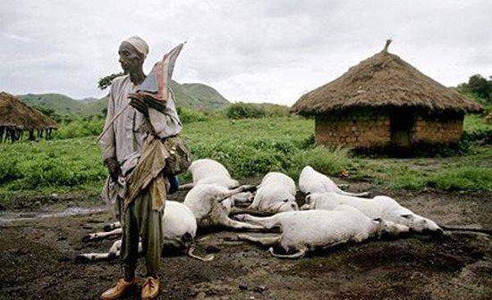 Giải mã bí mật chết người của amp;#34;nàng thơ Nyosamp;#34; - hồ nước nguy hiểm nhất thế giới - 2