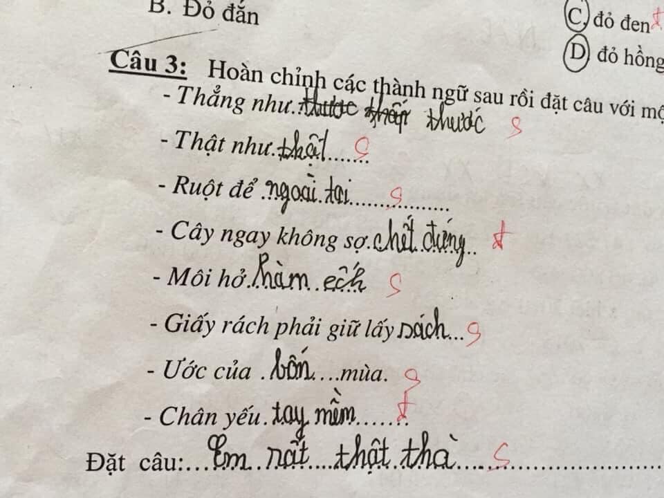 Cười ra nước mắt với bài tập điền từ vào câu của học sinh: Ruột để ngoài... tai - 1