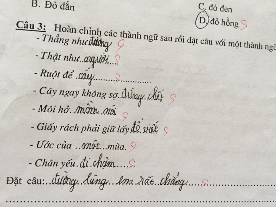 Cười ra nước mắt với bài tập điền từ vào câu của học sinh: Ruột để ngoài... tai - 9