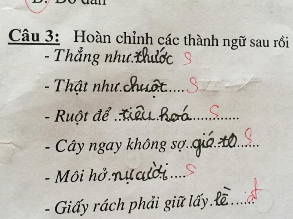 Cười ra nước mắt với bài tập điền từ vào câu của học sinh: Ruột để ngoài... tai - 2