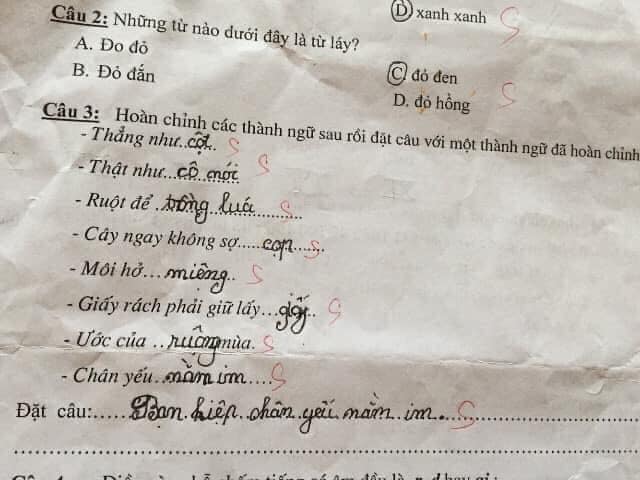 Cười ra nước mắt với bài tập điền từ vào câu của học sinh: Ruột để ngoài... tai - 5
