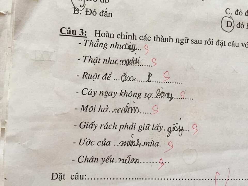 Cười ra nước mắt với bài tập điền từ vào câu của học sinh: Ruột để ngoài... tai - 6