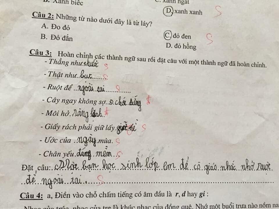 Cười ra nước mắt với bài tập điền từ vào câu của học sinh: Ruột để ngoài... tai - 7