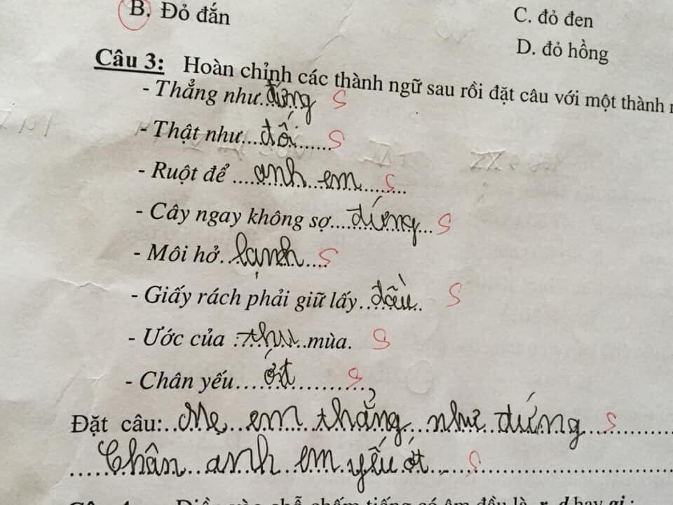 Cười ra nước mắt với bài tập điền từ vào câu của học sinh: Ruột để ngoài... tai - 4