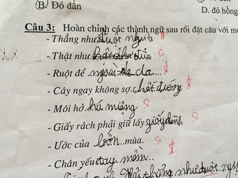 Cười ra nước mắt với bài tập điền từ vào câu của học sinh: Ruột để ngoài... tai - 8