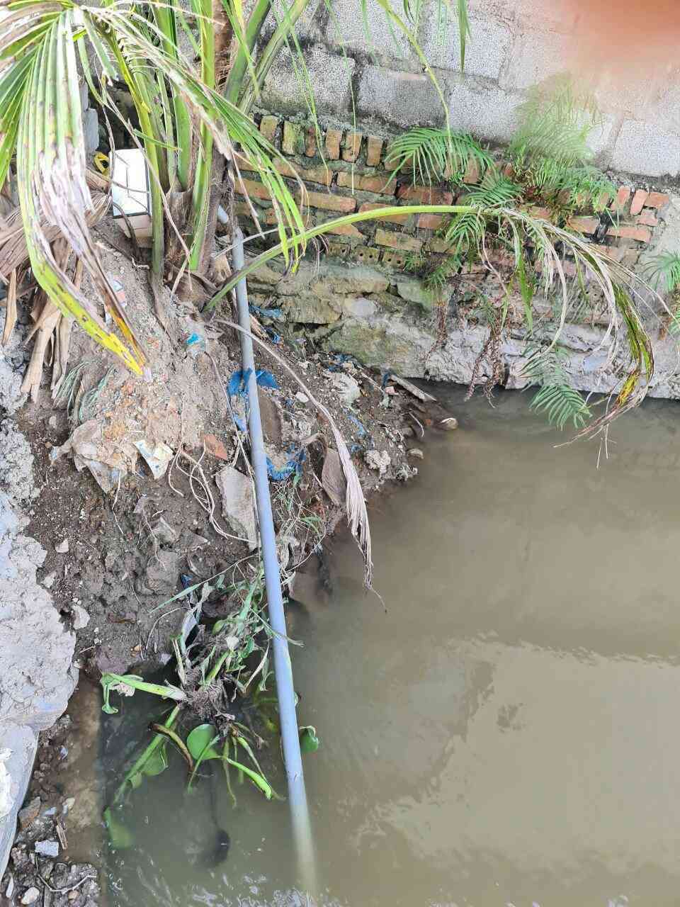 Rùng mình nước tinh khiết lấy từ mương nước thải sinh hoạt, bán cho trường học mỗi ngày - 2