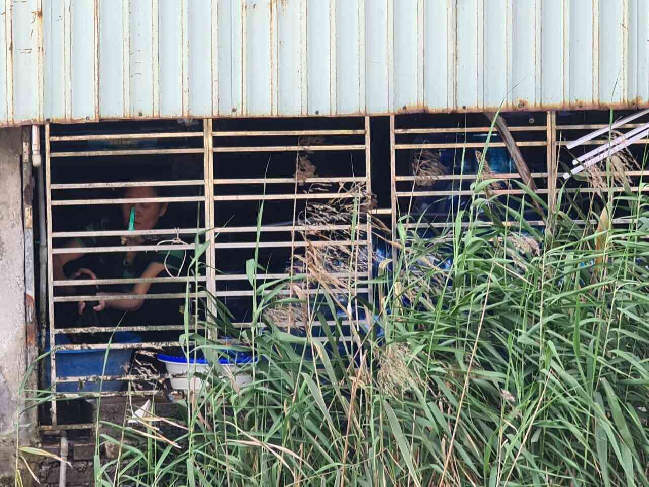 Rùng mình nước tinh khiết lấy từ mương nước thải sinh hoạt, bán cho trường học mỗi ngày - 4