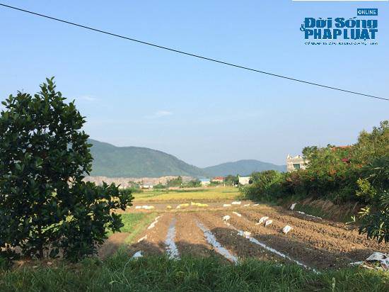 Trang trại 300 tỷ của sư thầy Thích Thanh Toàn ở chùa Nga Hoàng giờ ra sao? - 3