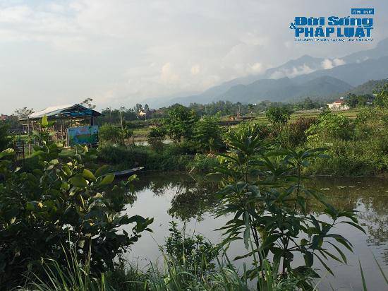 Trang trại 300 tỷ của sư thầy Thích Thanh Toàn ở chùa Nga Hoàng giờ ra sao? - 2