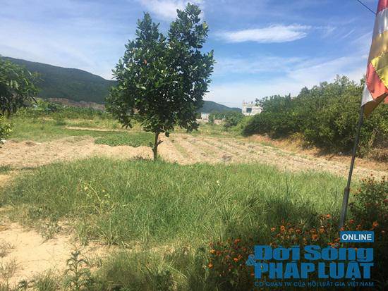 Trang trại 300 tỷ của sư thầy Thích Thanh Toàn ở chùa Nga Hoàng giờ ra sao? - 4