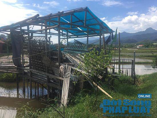 Trang trại 300 tỷ của sư thầy Thích Thanh Toàn ở chùa Nga Hoàng giờ ra sao? - 6