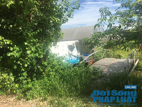 Trang trại 300 tỷ của sư thầy Thích Thanh Toàn ở chùa Nga Hoàng giờ ra sao? - 9