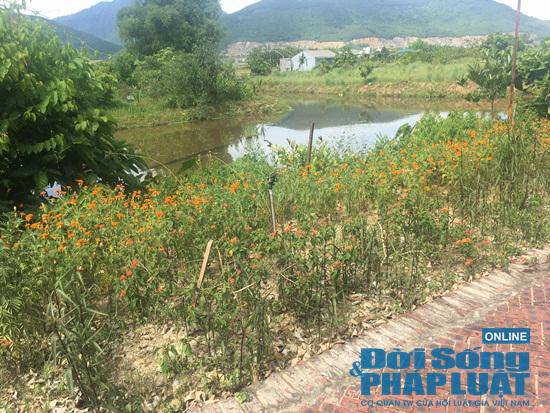 Trang trại 300 tỷ của sư thầy Thích Thanh Toàn ở chùa Nga Hoàng giờ ra sao? - 10