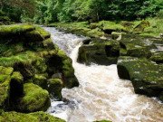 Xem ăn chơi - Bí ẩn dòng suối ác quỷ 100% người rơi vào là chết ở Anh