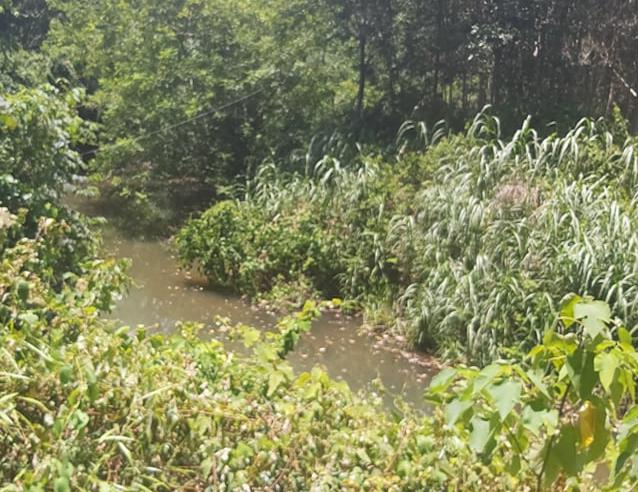 Bé trai 5 tuổi tử vong trong nhà hoang, hai tay bị trói: Nhận định nguyên nhân cái chết - 1