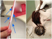 Nhà đẹp - Cống nhà vệ sinh tắc do tóc, cắt ống hút thả xuống 5 phút sau sẽ thấy điều "kì diệu"