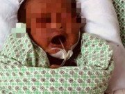 Làm mẹ - Điều kỳ diệu về vận số của những đứa trẻ dù bị bỏ rơi vẫn không từ bỏ sự sống