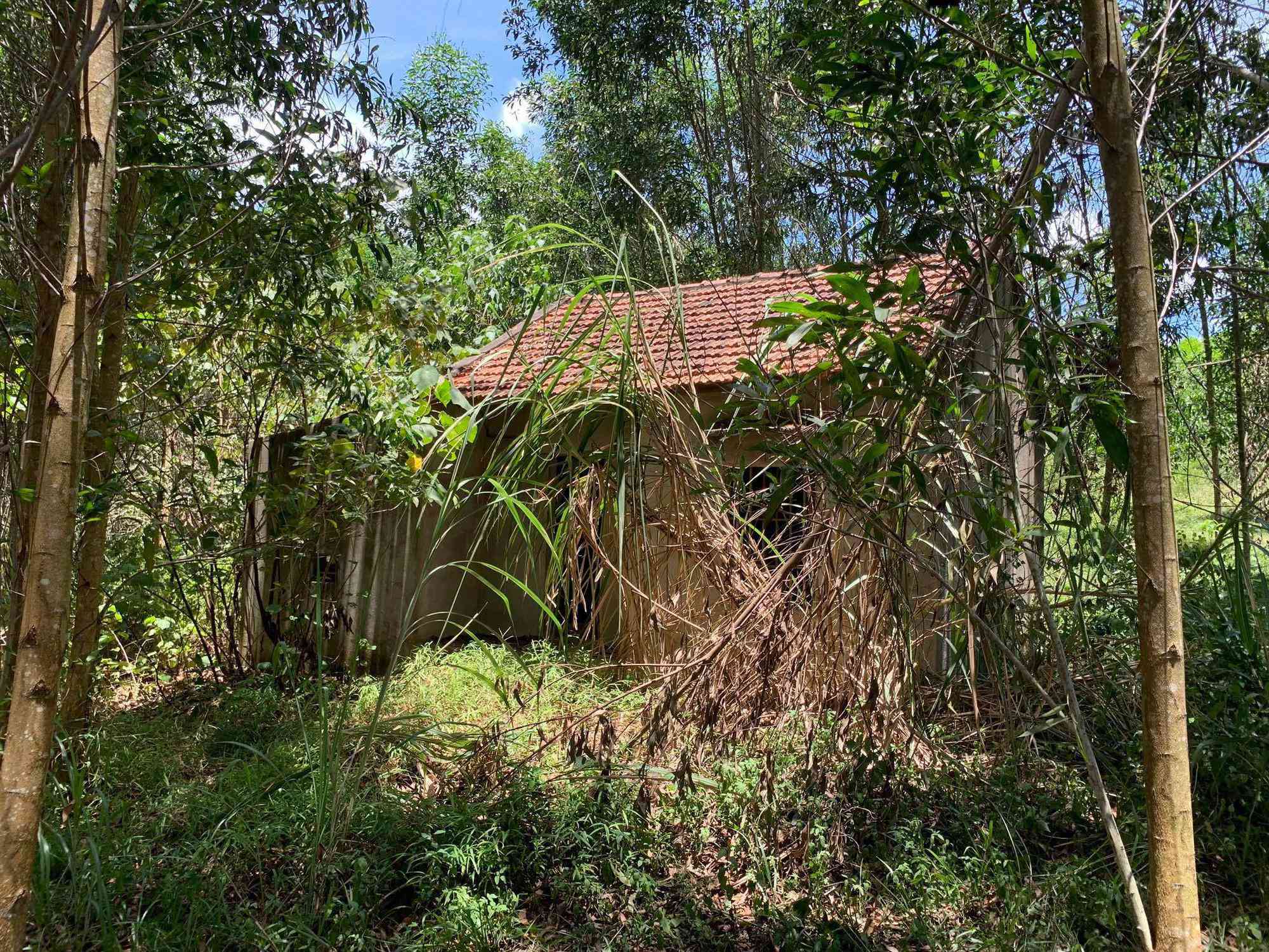 Vụ bé 5 tuổi tử vong ở nhà hoang: Nghi phạm tâm lý từng bất bình thường, hay hoảng sợ - 1