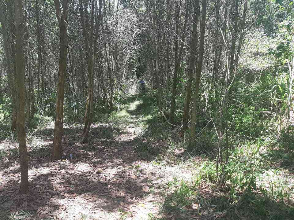 Vụ bé 5 tuổi tử vong ở nhà hoang: Nghi phạm tâm lý từng bất bình thường, hay hoảng sợ - 3