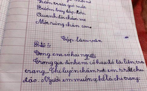 3 bài văn miêu tả của bé tiểu học amp;#34;nổi như cồnamp;#34; trên MXH vì pha bẻ lái khó đỡ - 2