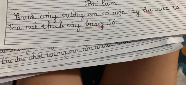 3 bài văn miêu tả của bé tiểu học amp;#34;nổi như cồnamp;#34; trên MXH vì pha bẻ lái khó đỡ - 3