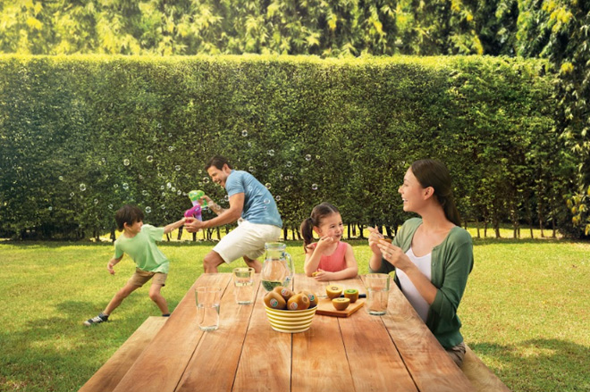 VinMart tổ chức “Lễ hội Táo và Kiwi nhập khẩu từ New Zealand” - 3