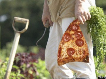 Trang trại trồng pizza tưởng đùa nhưng là thật, sao không thử?