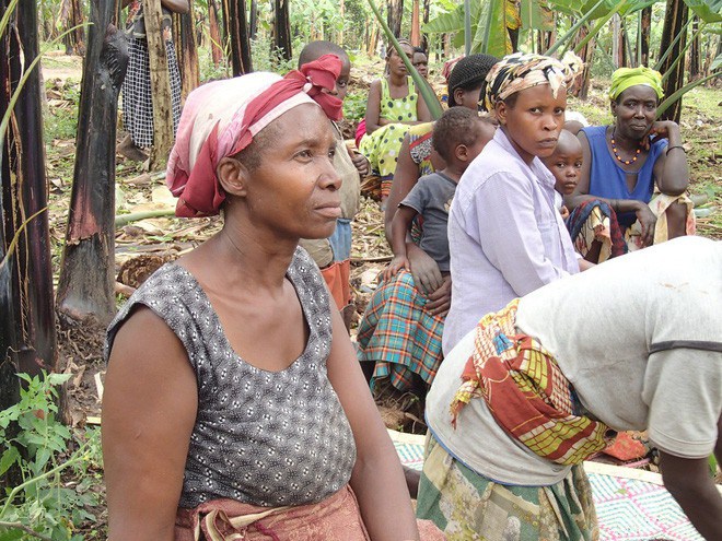 Đổ đống chuối chín vào thân cây rồi giẫm nát: Loại nước uống thử 1 lần là nhớ mãi - 8