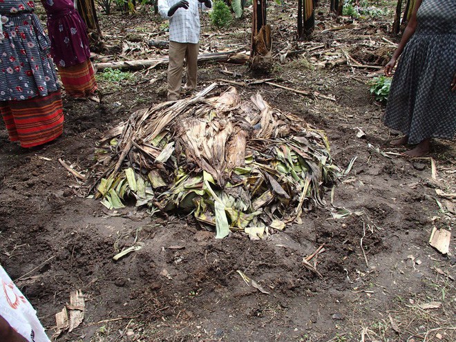 Đổ đống chuối chín vào thân cây rồi giẫm nát: Loại nước uống thử 1 lần là nhớ mãi - 9