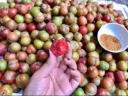 Sức khỏe - 10 tác dụng của quả mận hậu Sơn La không phải ai cũng biết