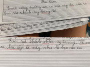 Tin tức - Đề bài bắt tả cây có bóng mát, loạt bài văn của học sinh làm dân mạng cười "té ghế"