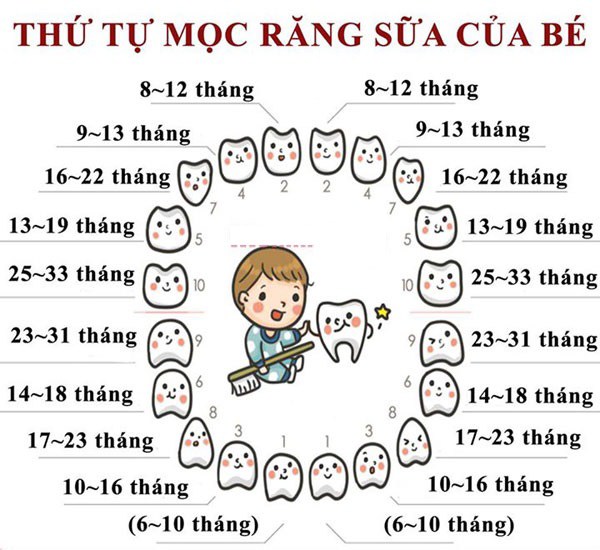 Tổng hợp thông tin về 