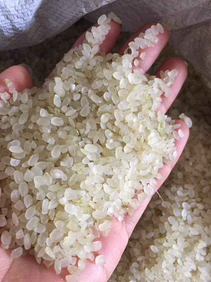 Cốm non Tây Bắc - Hương vị mùa thu đặc sản Cốm non Tây Bắc - Hương vị mùa thu đặc sản