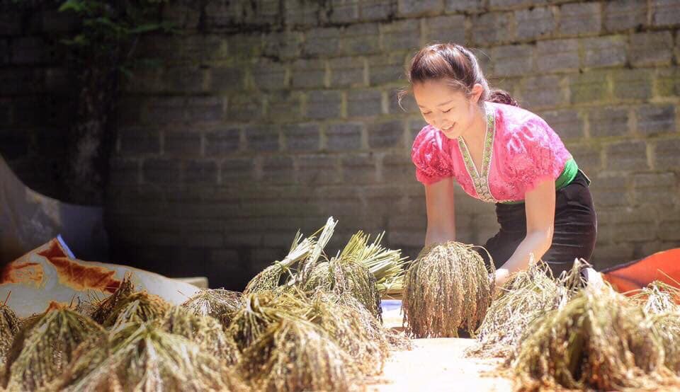 Lên Tây Bắc nếm thử cốm già khẩu hang ngon quên đời, nhiều người mua về làm quà - 4