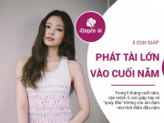 Clip Eva - Top 5 con giáp tiền vào như nước, nhanh chóng phát tài ngay nửa cuối năm 2020