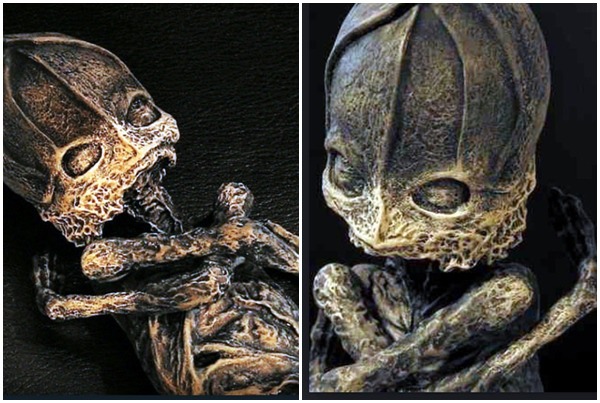 Sự thật về em bé ngoài hành tinh mang lời nguyền chết chóc được hé lộ sau 23 năm - 3