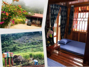 Nhà đẹp - “Bỏ phố lên rừng”, vợ chồng 8X đến Mộc Châu dựng nhà sàn, trồng lúa nương trong vườn 5000m²