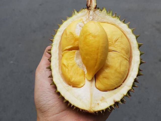 Sầu riêng quái lạ bé bằng lòng bàn tay, chỉ nhìn ảnh đã muốn mua liền mấy quả