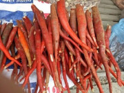 Sức khỏe - Sâm cau là gì? Tác dụng của sâm cau và ai không nên dùng