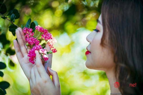 Đường hoa tường vi đẹp nhất Hà thành, nơi check-in tuyệt vời cho giới trẻ - 4