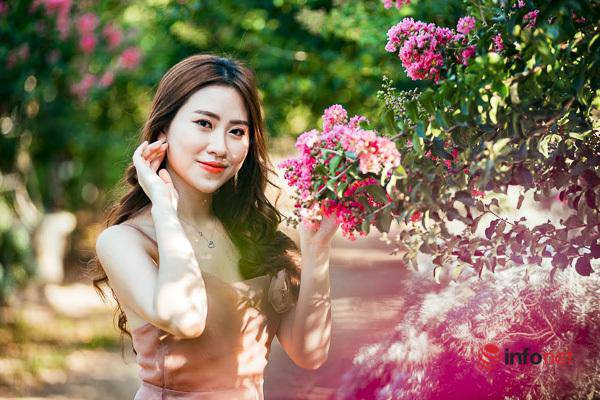Đường hoa tường vi đẹp nhất Hà thành, nơi check-in tuyệt vời cho giới trẻ - 5